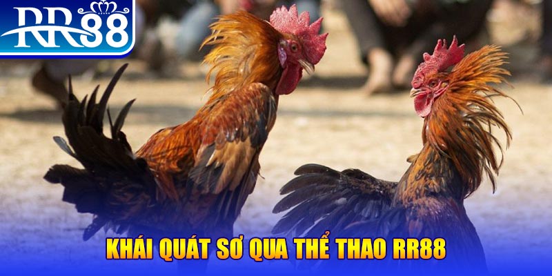 cwin999 nổ hũ là như thế nào