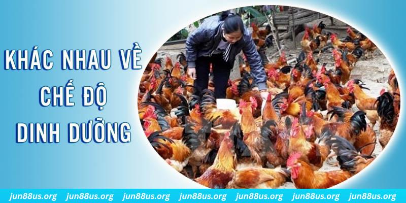 cwin999 xổ số thứ sáu hàng tuần