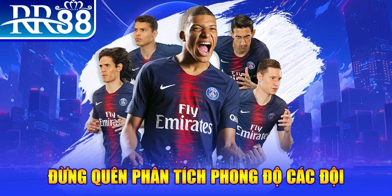 chổi lông gà