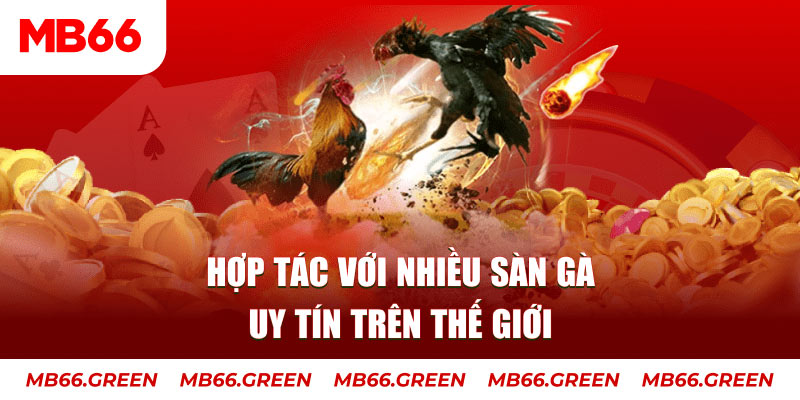 cwin999 nổ hủ chơi như thế nào
