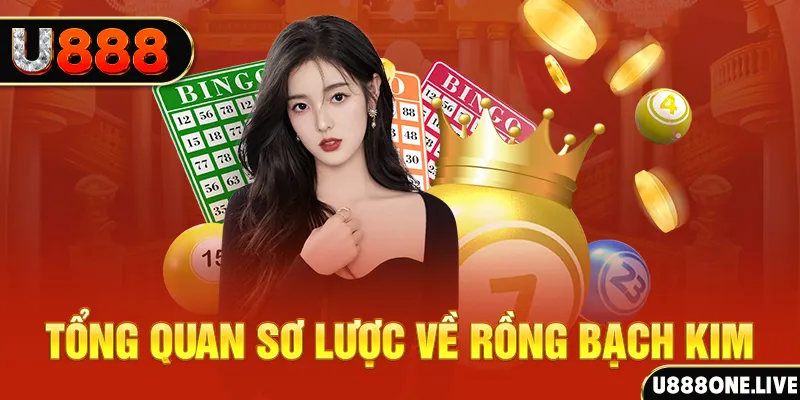cwin999 how to win at slot machines