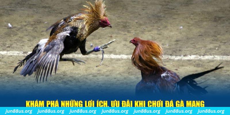 cwin999 Tài Xỉu 2